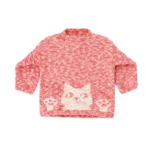 Bernat Purrfect Knit Pullover