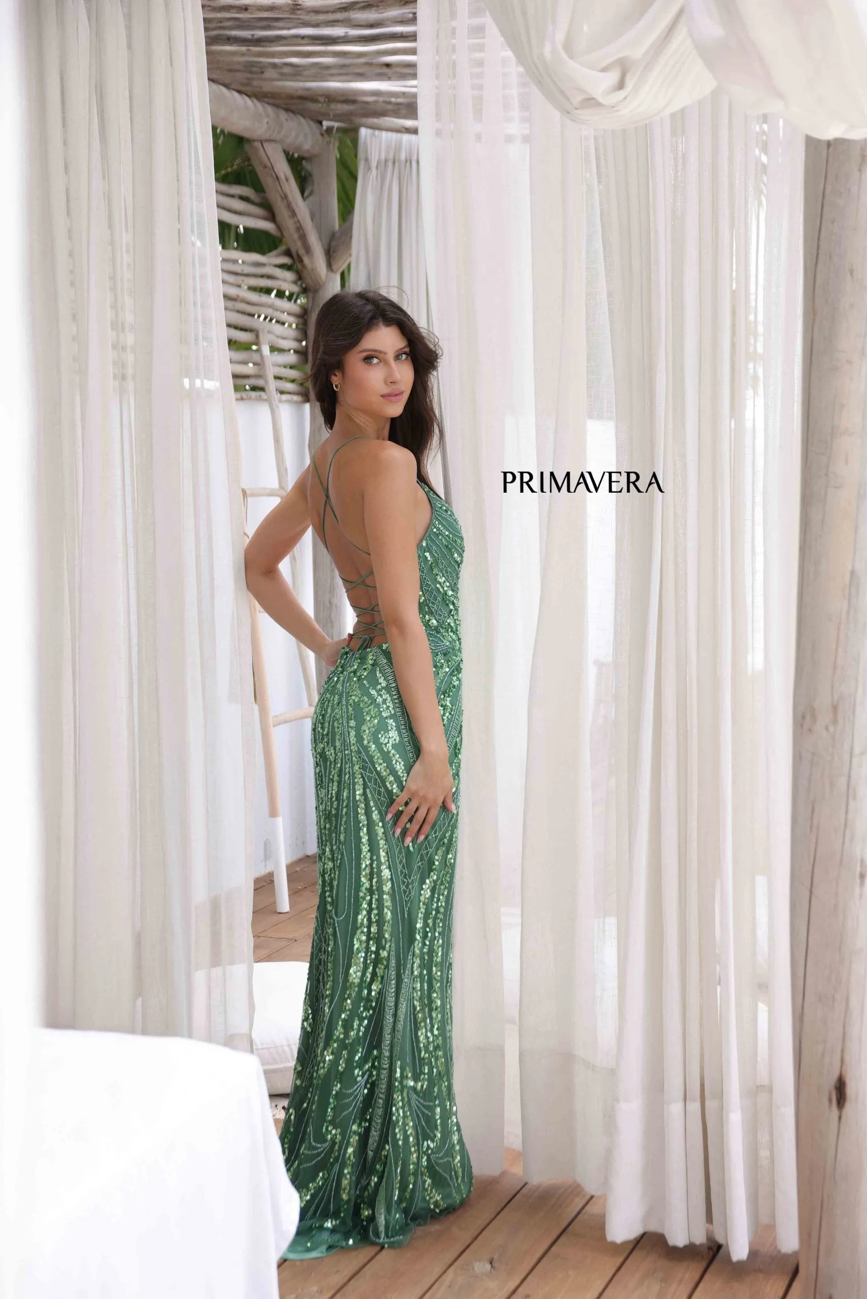 Cammy | Beaded Evening Gown | Primavera 3958