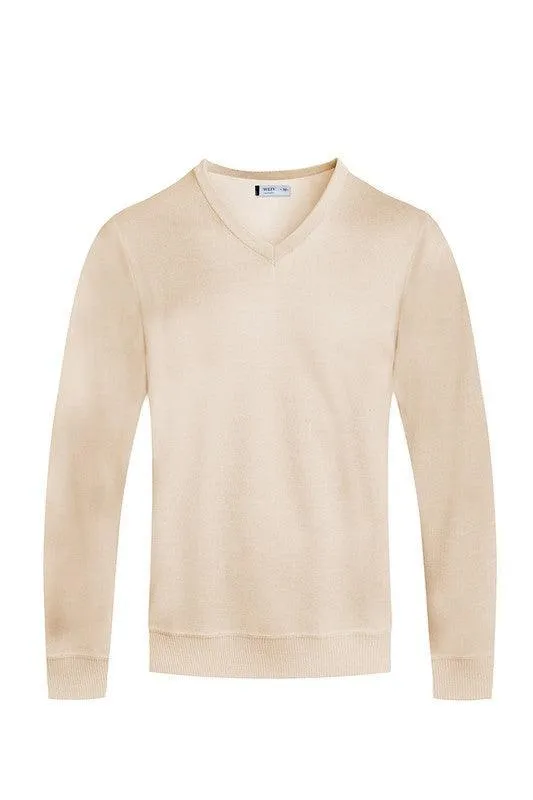 Men’s Solid V-neck Sweater