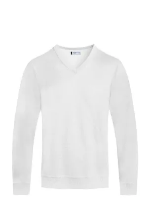 Men’s Solid V-neck Sweater